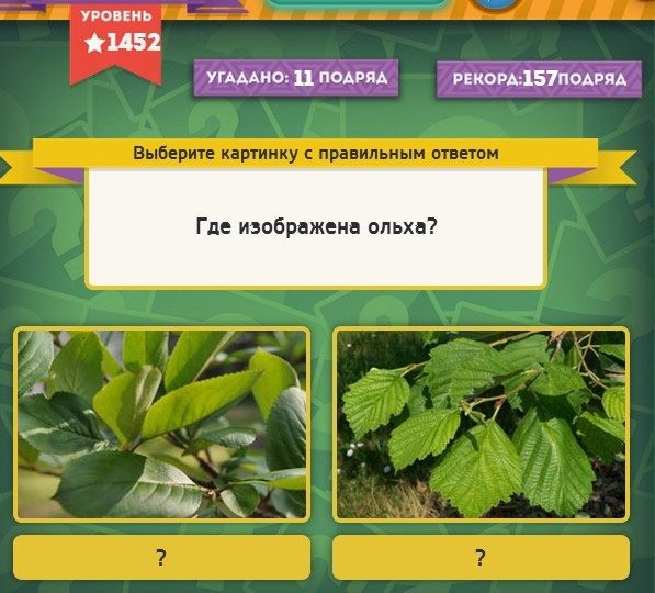 текст при наведении